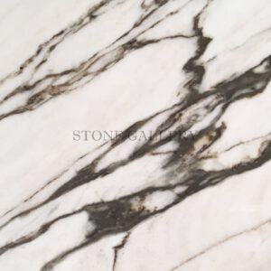 White Calacatta